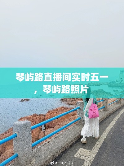 琴屿路直播间实时五一，琴屿路照片 