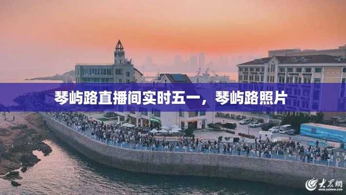 琴屿路直播间实时五一,琴屿路照片