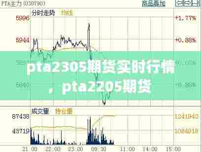 pta2305期货实时行情，pta2205期货 