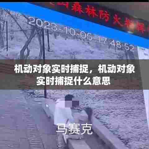 机动对象实时捕捉，机动对象实时捕捉什么意思 