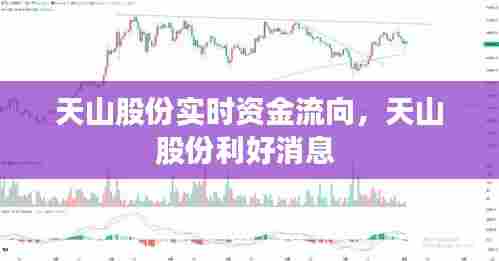 天山股份实时资金流向，天山股份利好消息 