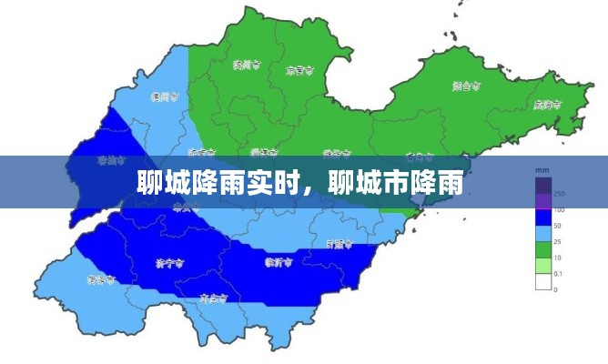 聊城降雨实时，聊城市降雨 