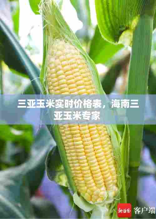 三亚玉米实时价格表,海南三亚玉米专家