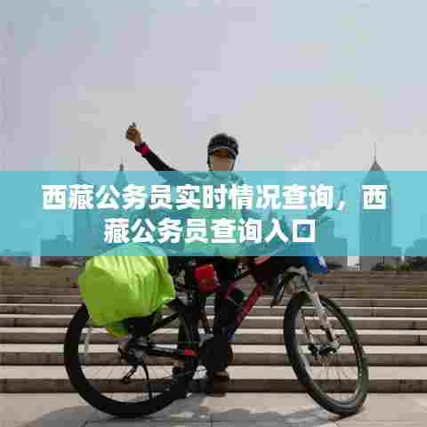 西藏公务员实时情况查询，西藏公务员查询入口 