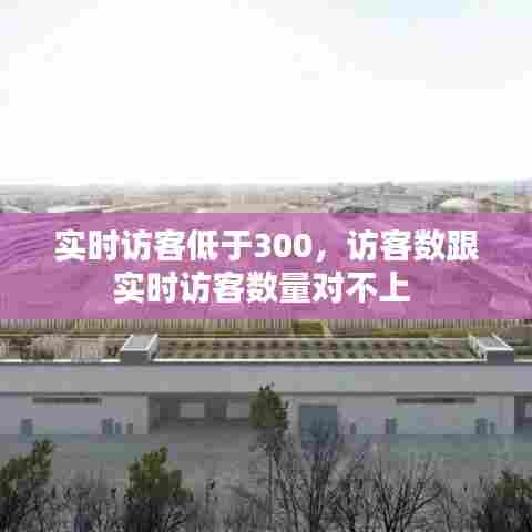 实时访客低于300，访客数跟实时访客数量对不上 