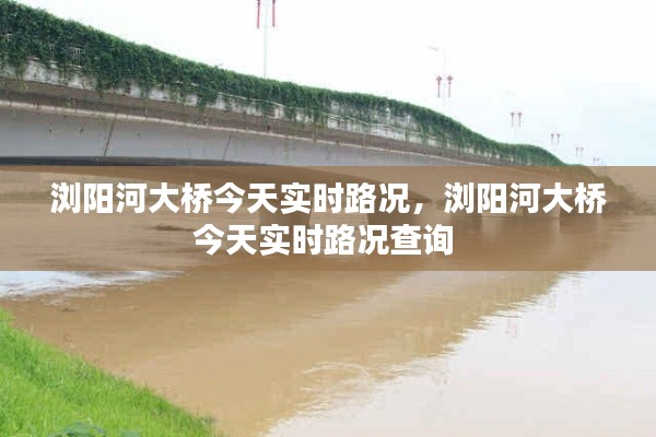 浏阳河大桥今天实时路况，浏阳河大桥今天实时路况查询 