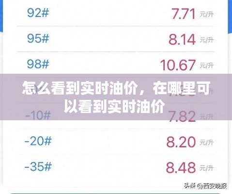 怎么看到实时油价，在哪里可以看到实时油价 