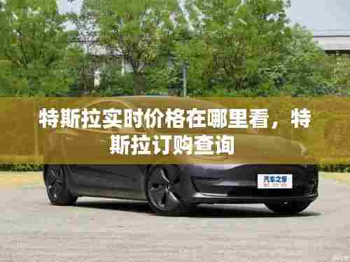 特斯拉实时价格在哪里看，特斯拉订购查询 