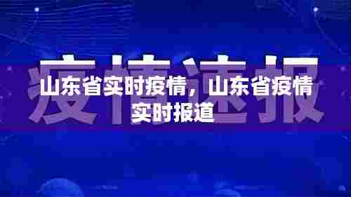 山东省实时疫情，山东省疫情实时报道 