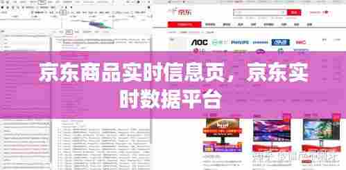 京东商品实时信息页，京东实时数据平台 