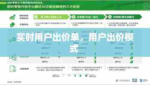 实时用户出价单,用户出价模式