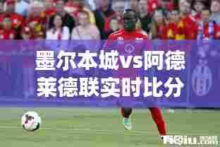墨尔本城vs阿德莱德联实时比分，墨尔本城对阿德莱德联比分结果 