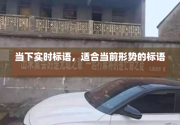 当下实时标语，适合当前形势的标语 