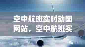 空中航班实时动图网站，空中航班实时动图网站下载 
