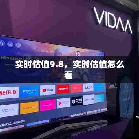 实时估值9.8，实时估值怎么看 
