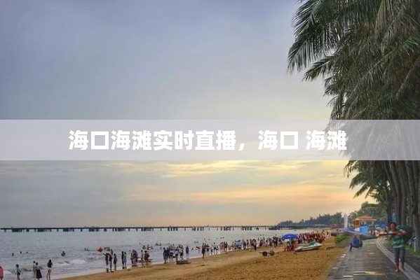 海口海滩实时直播,海口 海滩