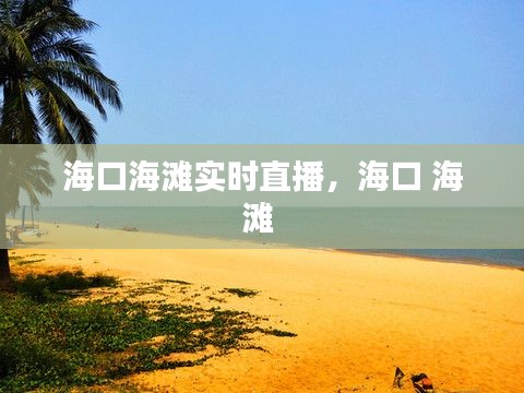海口海滩实时直播,海口 海滩