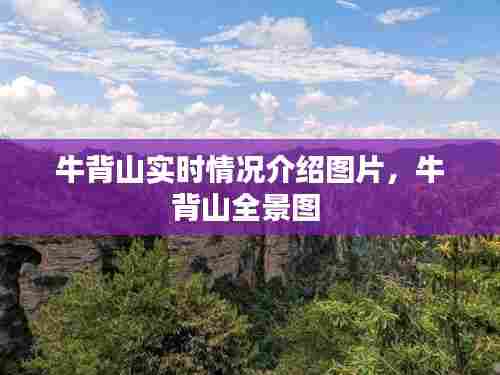 牛背山实时情况介绍图片,牛背山全景图