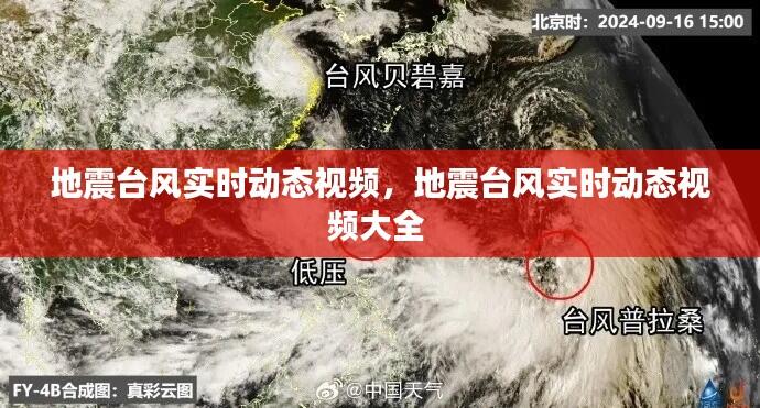 地震台风实时动态视频，地震台风实时动态视频大全 