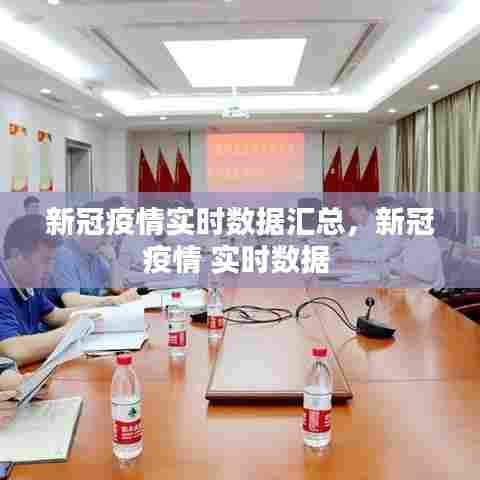 新冠疫情实时数据汇总，新冠疫情 实时数据 
