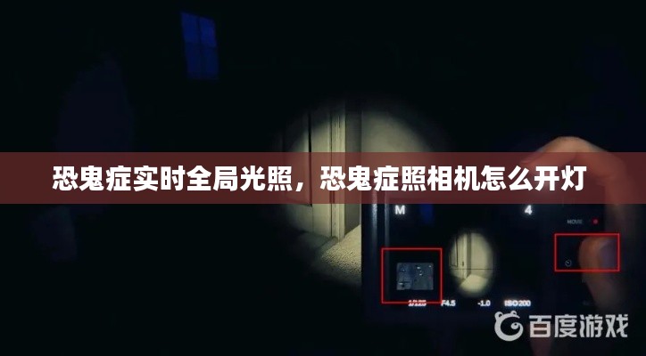 恐鬼症实时全局光照,恐鬼症照相机怎么开灯
