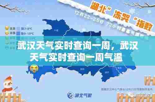 武汉天气实时查询一周，武汉天气实时查询一周气温 