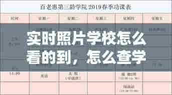 实时照片学校怎么看的到，怎么查学校学生照片 