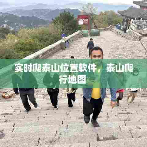 实时爬泰山位置软件，泰山爬行地图 