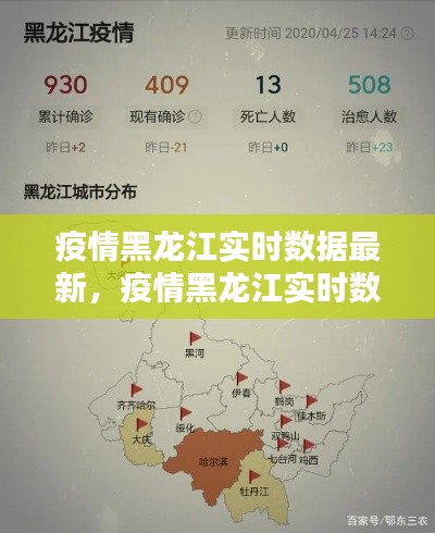 疫情黑龙江实时数据最新，疫情黑龙江实时数据最新消息今天 