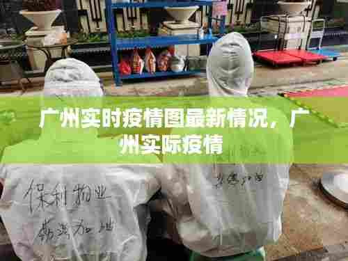 广州实时疫情图最新情况,广州实际疫情