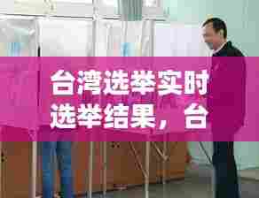 台湾选举实时选举结果，台湾选举最新动态分析 