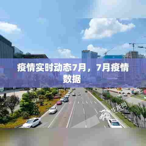 疫情实时动态7月,7月疫情数据