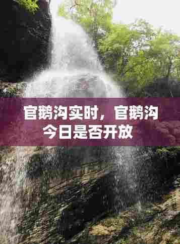 官鹅沟实时，官鹅沟今日是否开放 