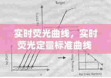 实时荧光曲线，实时荧光定量标准曲线 