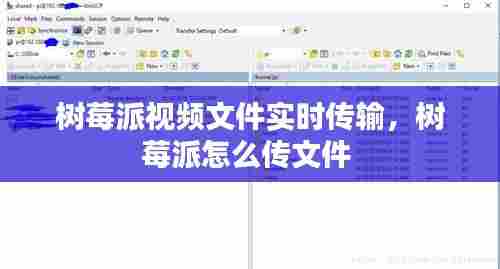 树莓派视频文件实时传输，树莓派怎么传文件 