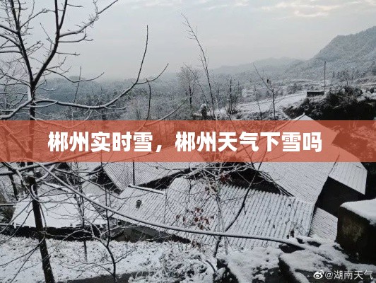 郴州实时雪,郴州天气下雪吗