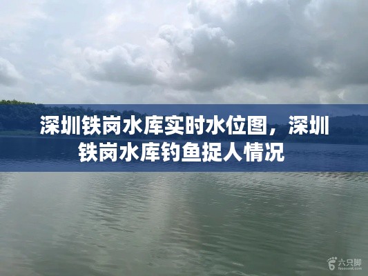深圳铁岗水库实时水位图，深圳铁岗水库钓鱼捉人情况 