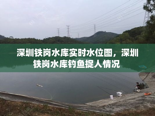 深圳铁岗水库实时水位图,深圳铁岗水库钓鱼捉人情况