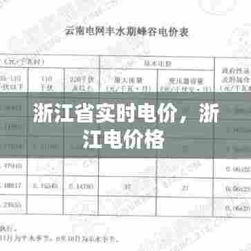 浙江省实时电价，浙江电价格 
