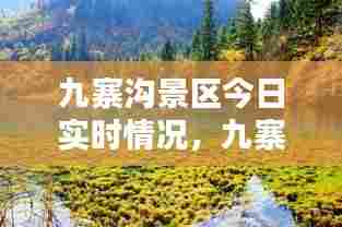 九寨沟景区今日实时情况，九寨沟2021年最新疫情消息 