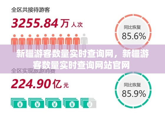 新疆游客数量实时查询网，新疆游客数量实时查询网站官网 