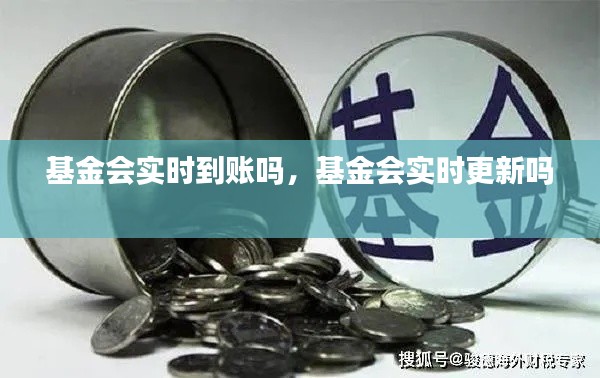 基金会实时到账吗，基金会实时更新吗 