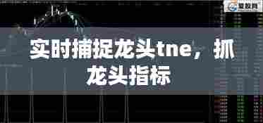 实时捕捉龙头tne，抓龙头指标 