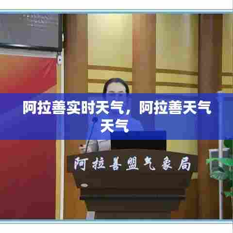 阿拉善实时天气，阿拉善天气天气 