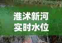 淮沭新河实时水位表，淮沭新河钓鱼怎么样 