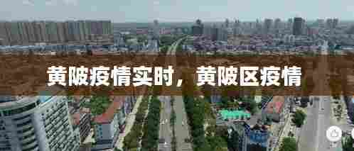 黄陂疫情实时,黄陂区疫情