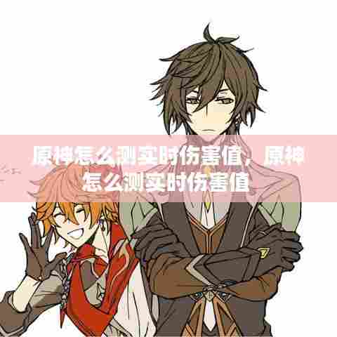 原神怎么测实时伤害值,原神怎么测实时伤害值