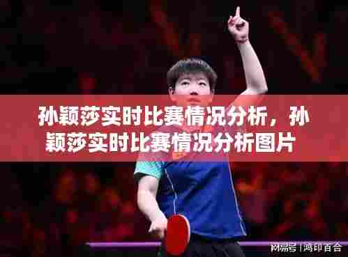 孙颖莎实时比赛情况分析，孙颖莎实时比赛情况分析图片 