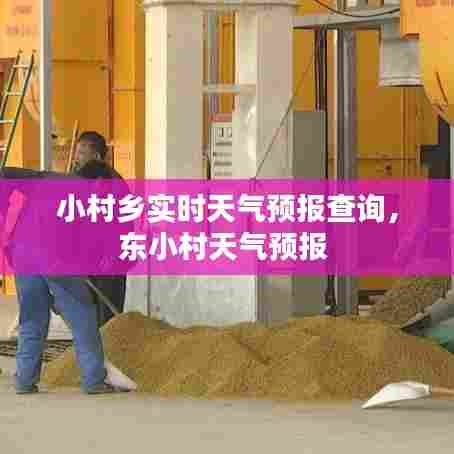 小村乡实时天气预报查询，东小村天气预报 