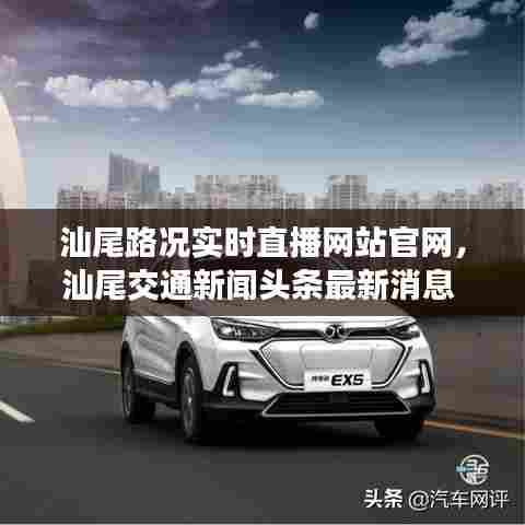 老死不相往来 第7页